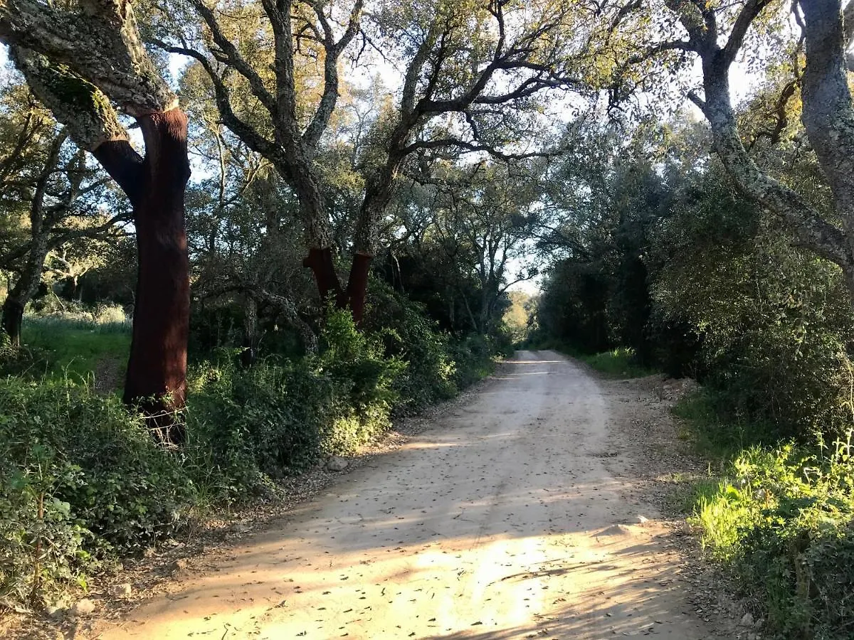 Elegant Country House Tenuta Piredu Apartment Monti